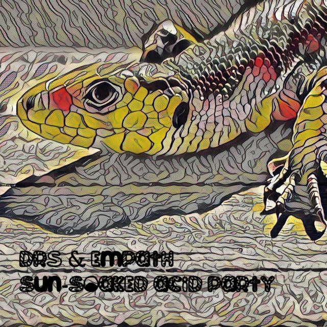 Sun-Soaked Acid Party cover art