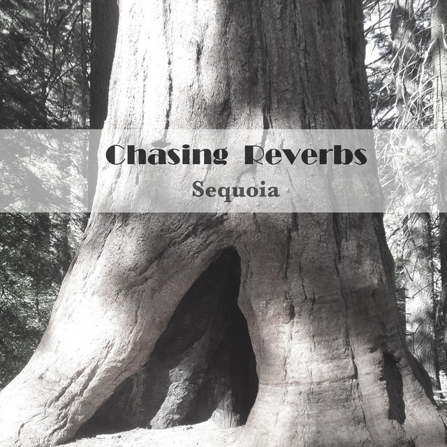 Sequoia cover art