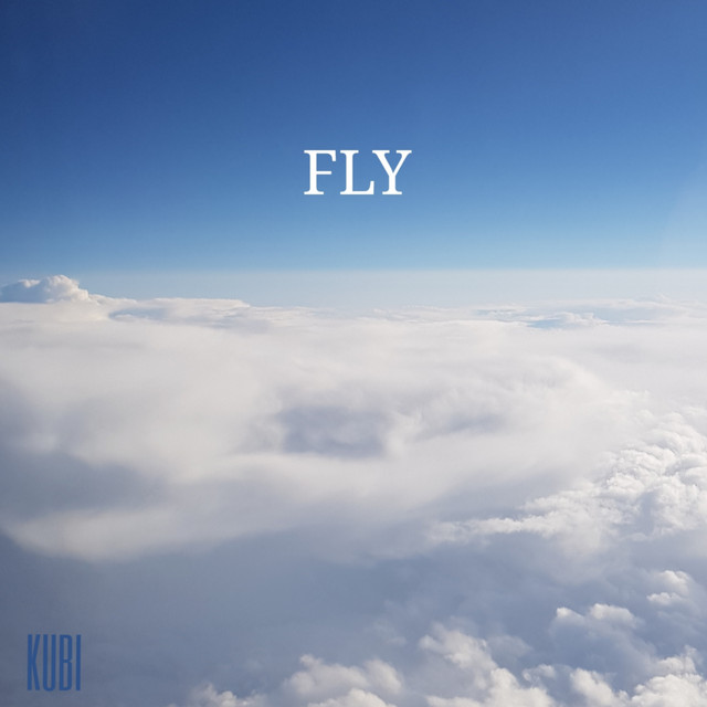 FLY cover art