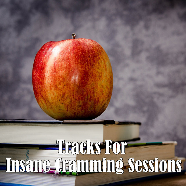 Tracks For Insane Cramming Sessions cover art
