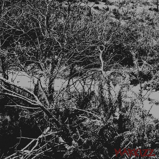 THE AFTERMATH cover art