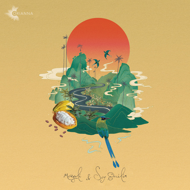 undefined album image