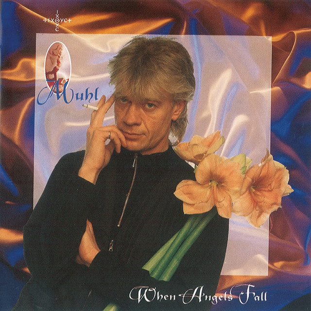 When Angels Fall cover