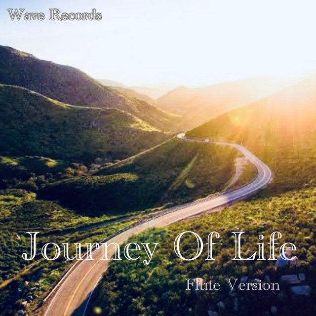 Journey Of Life (Flute Theme) Single by Subham jossi Spotify