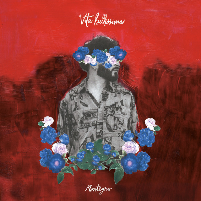 Vita Bellissima cover art