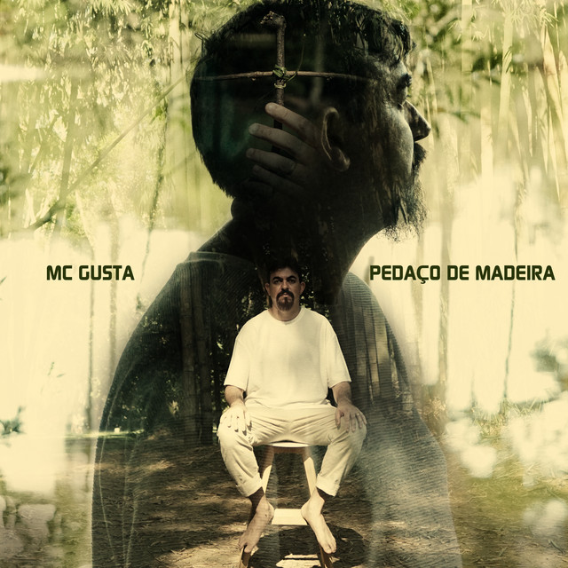 Pedaço de Madeira