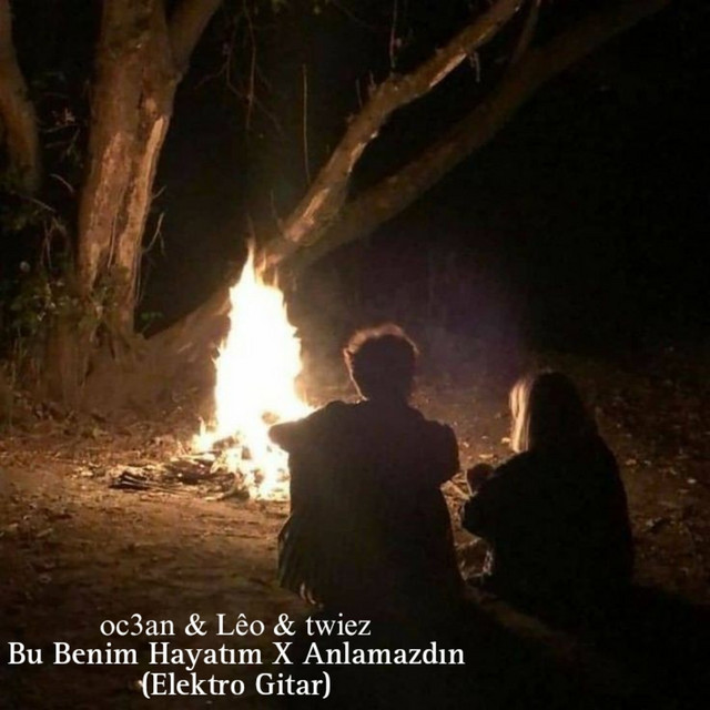 Bu Benim Hayatım X Anlamazdın (Elektro Gitar) cover art