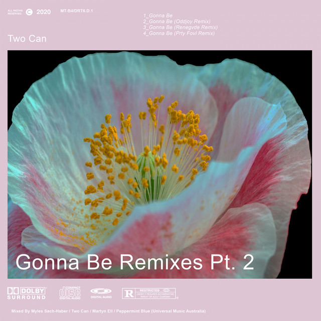 Gonna Be Remixes, Pt. 2 cover art