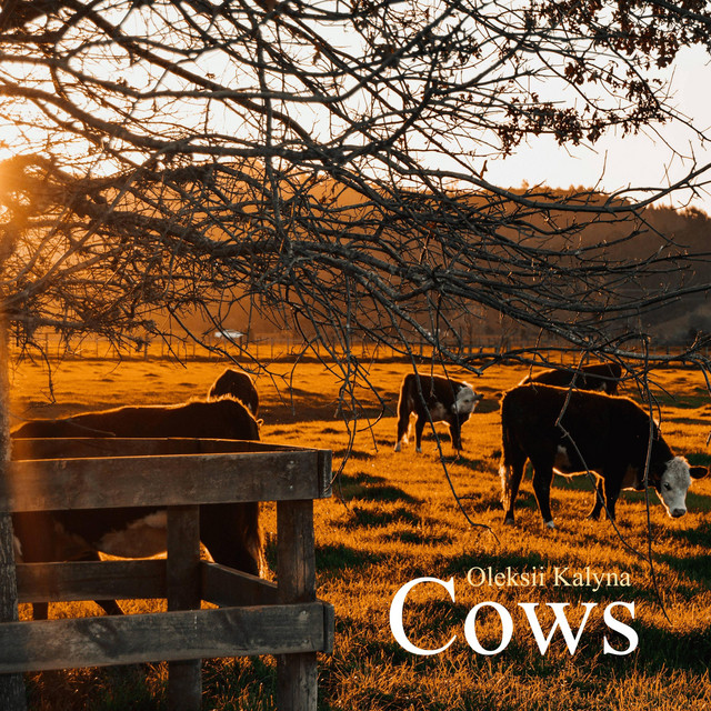 Обкладинка: Cows — Oleksii Kalyna