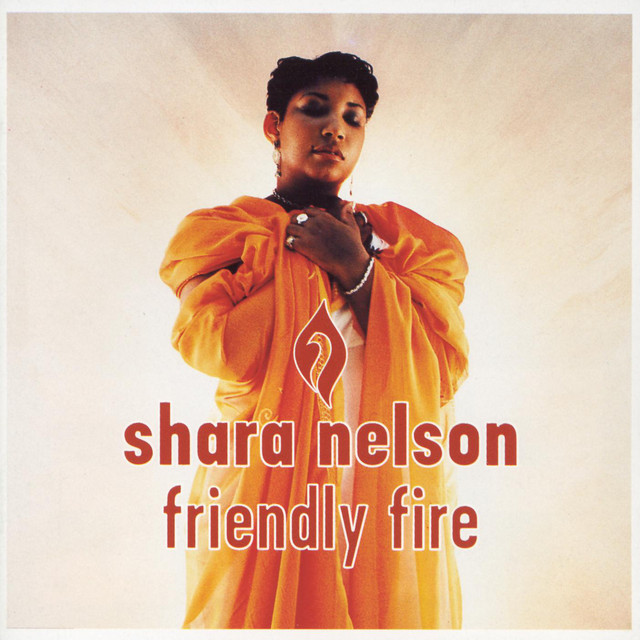 Friendly Fire cover art