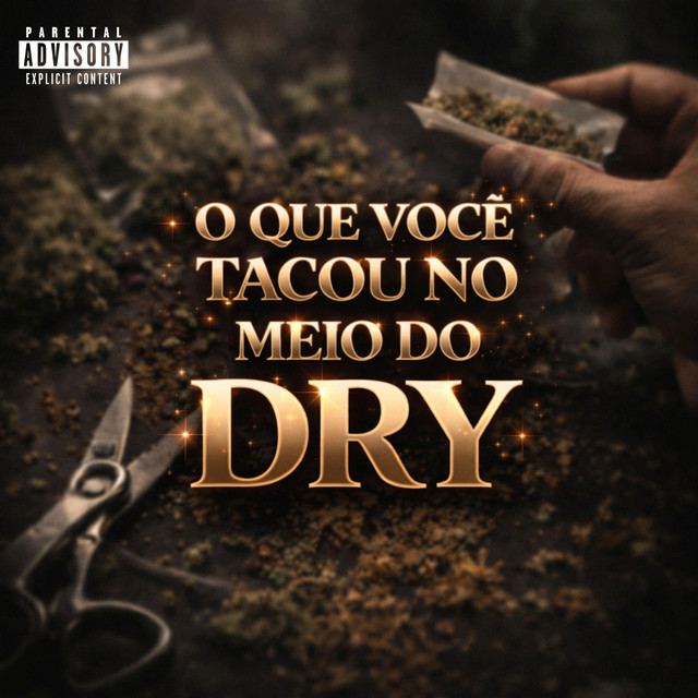 O QUE VOCÊ TACOU NO MEIO DO DRY