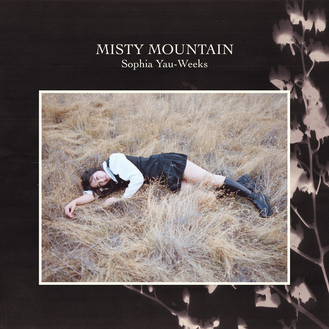 Misty Mountain cover art