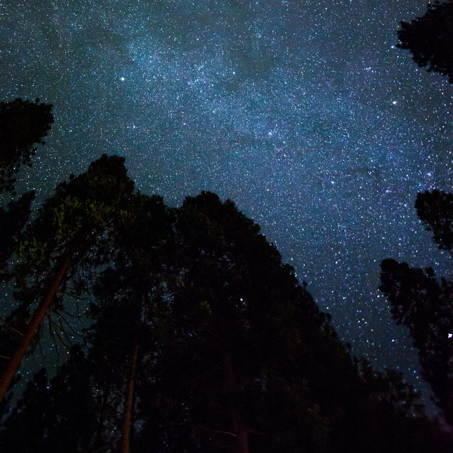 Distant Galaxies (single)