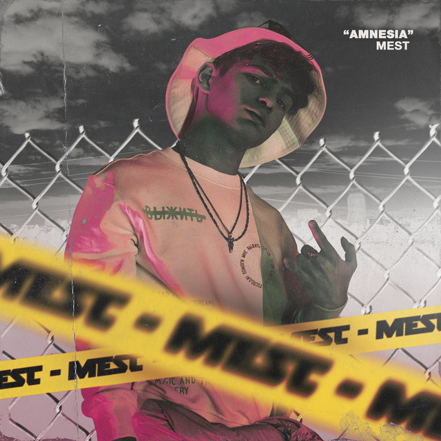 Amnesia cover art