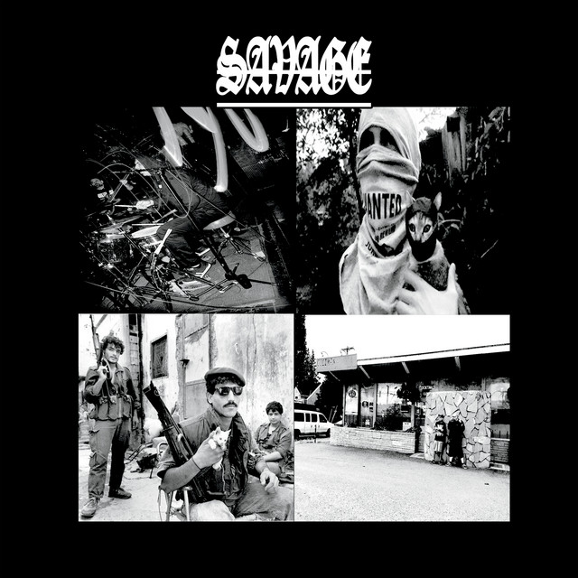 Split cover art