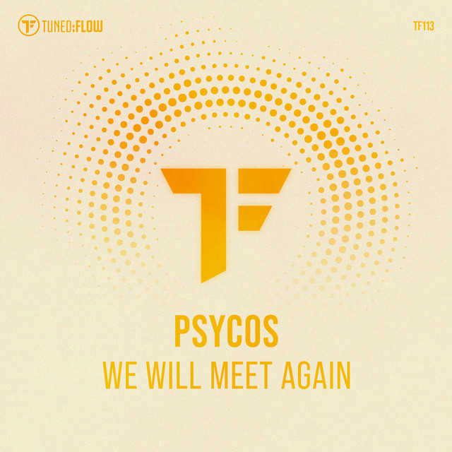 We Will Meet Again - Club Mix album art