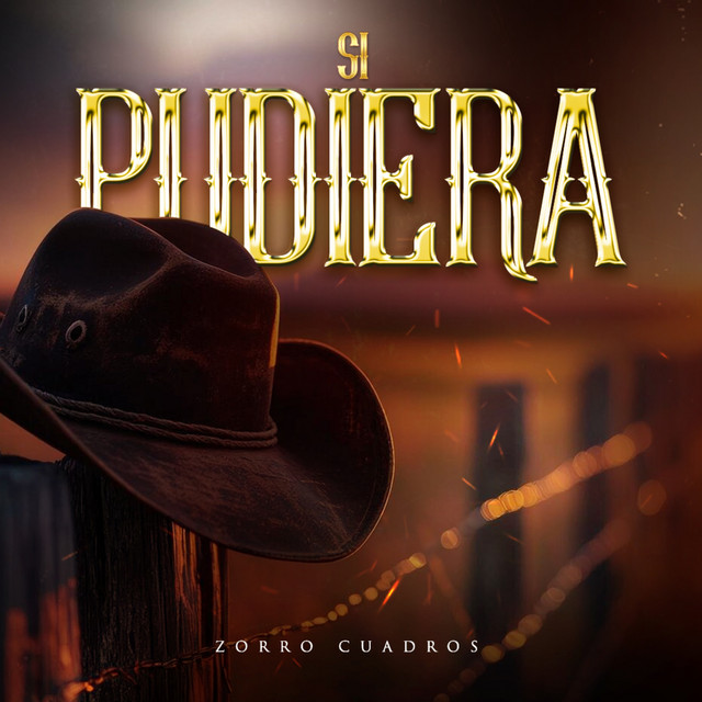 Si Pudiera