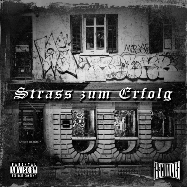 Strass zum Erfolg cover art