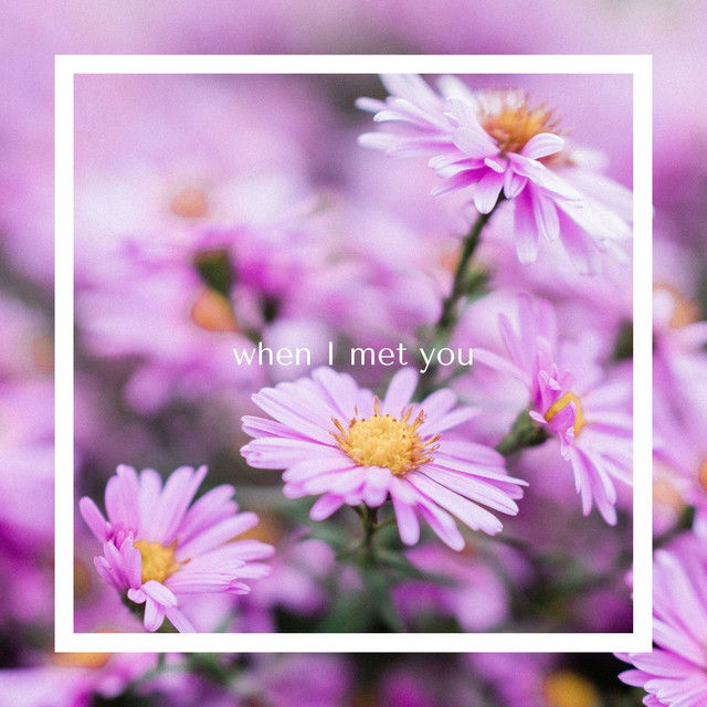 When I Met You