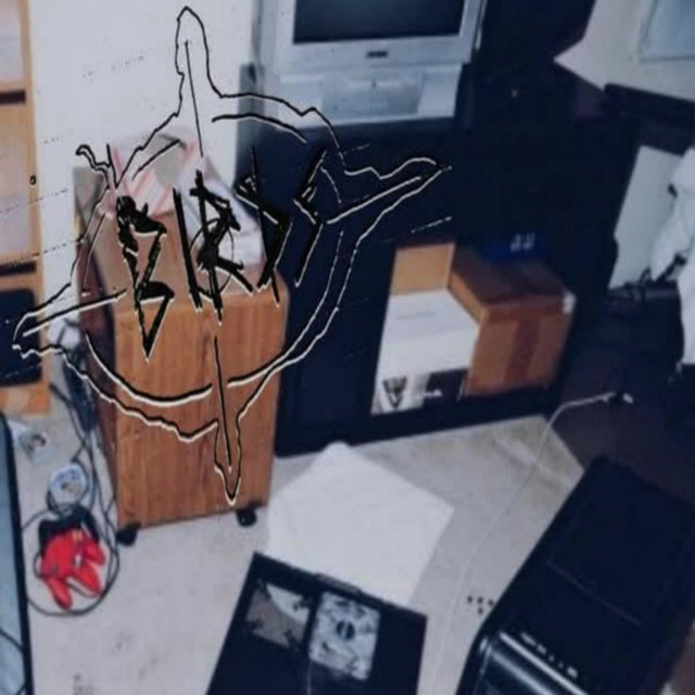 birds cover art