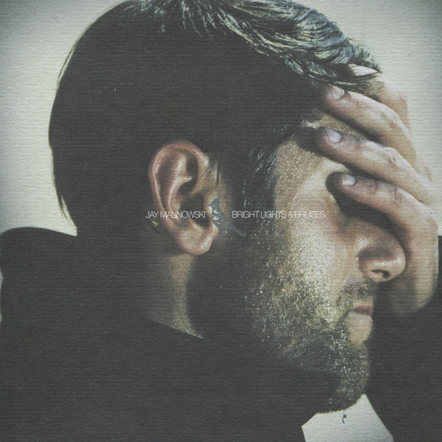 Bright Lights & Bruises cover art