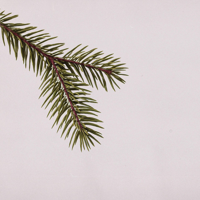 White Christmas