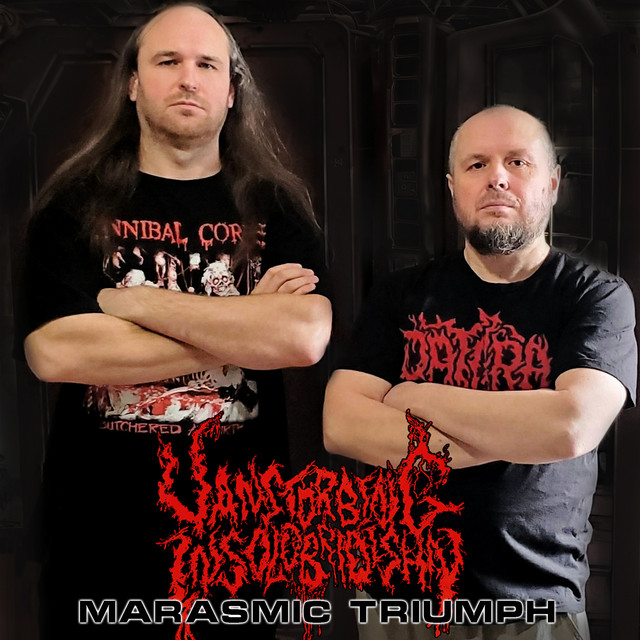 Vanstorbing Insolobridishn