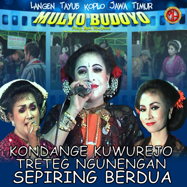 TAYUB MULYO BUDOYO, Vol. 3 cover art