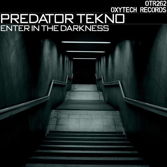 Enter in the Darkness cover