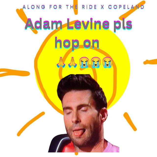 A D A (M) L E V I N (E) pls hop on cover art