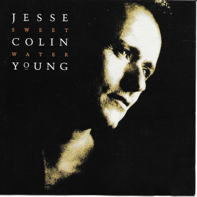 6枚セット Young Jesse Colin Neil Young レコード