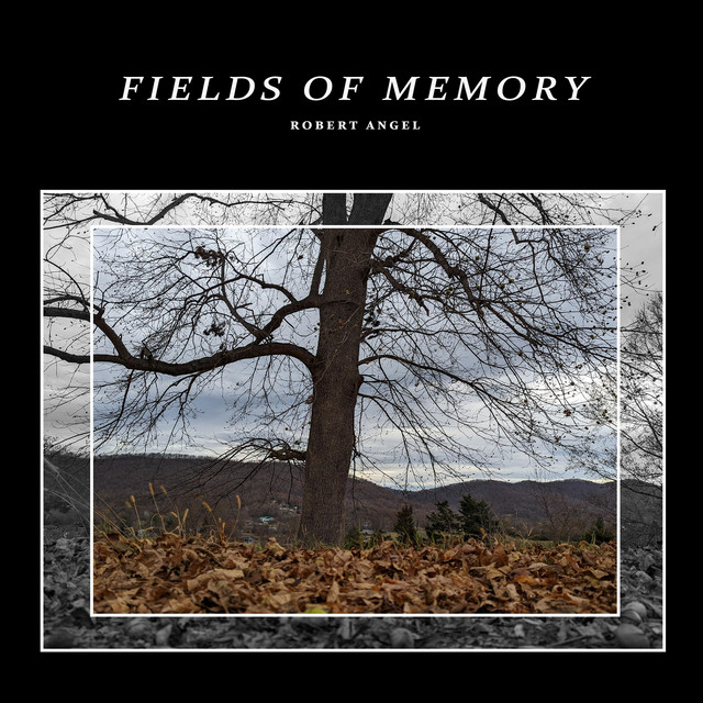 Fields Of Memory cover art