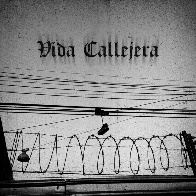 Vida Callejera