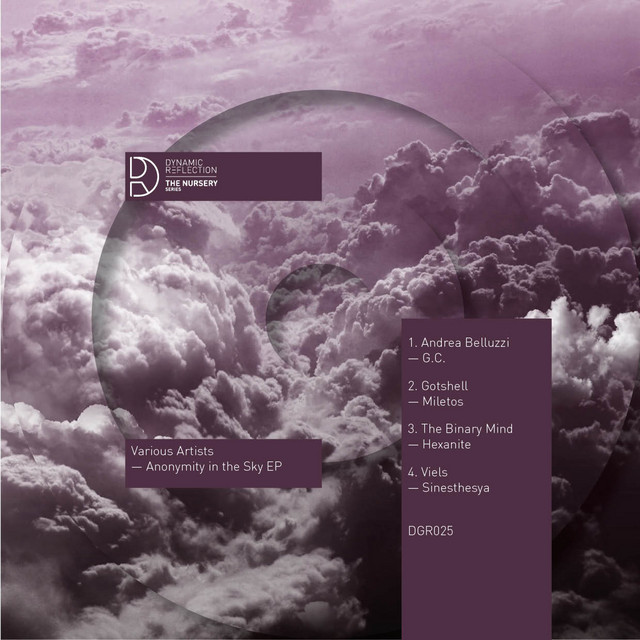 Anonymity In The Sky EP cover