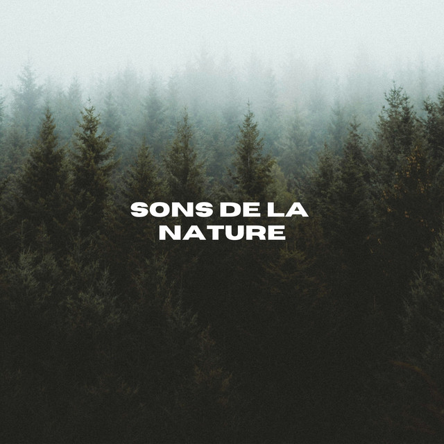 Sons De La Nature