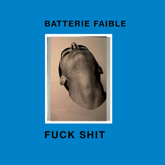 FUCK SHIT cover art