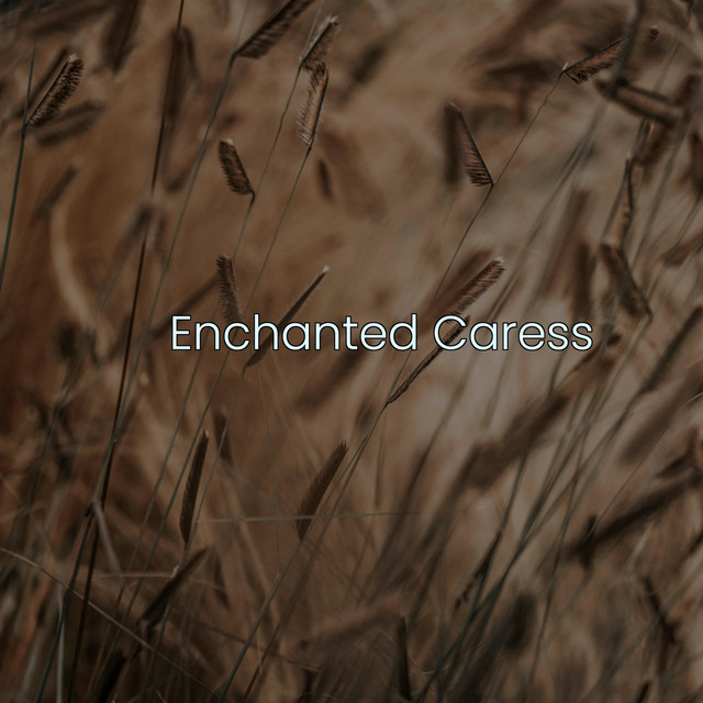Enchanted Caress cover art