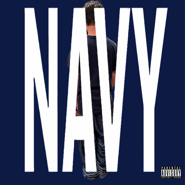 EVERYTHING IS NAVY cover art