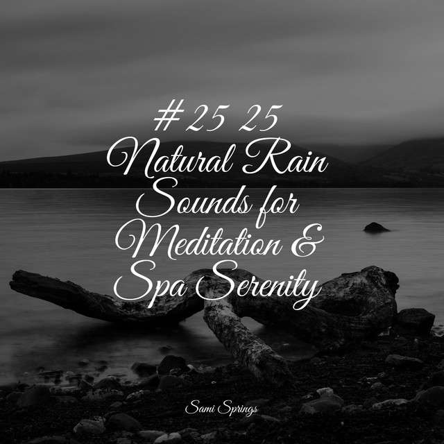 #25 25 Natural Rain Sounds for Meditation & Spa Serenity - Album by ...