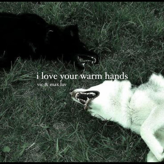 i love your warm hands cover art