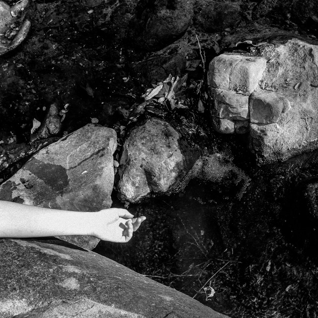 The Littlest Death album image