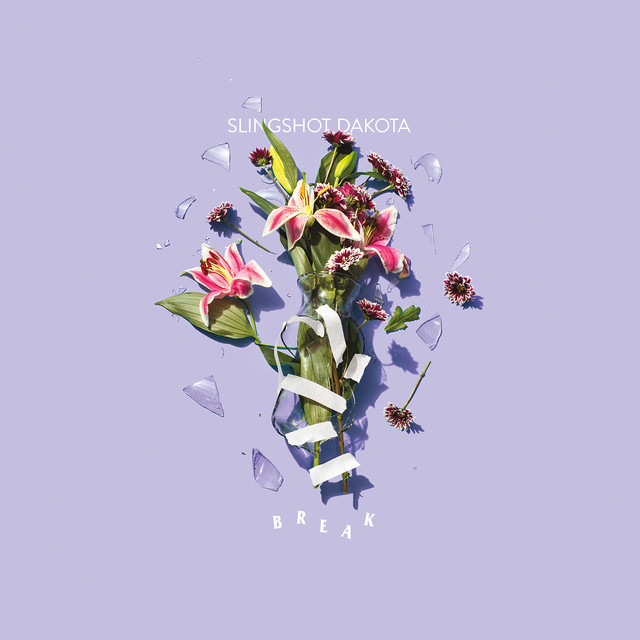 Break cover art