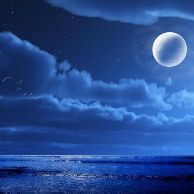 Midnight cover