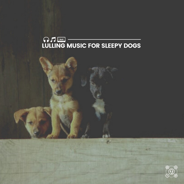 Lulling Music for Sleepy Dogs cover art