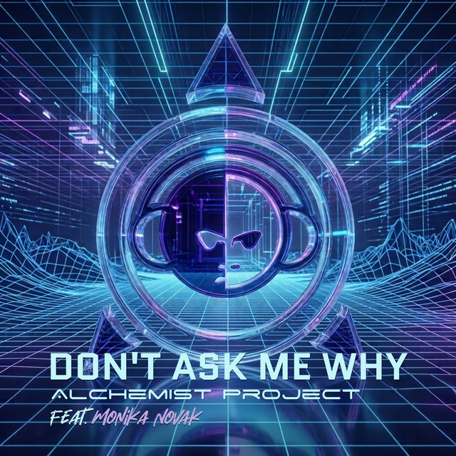 Don't Ask My Why (Remix) cover