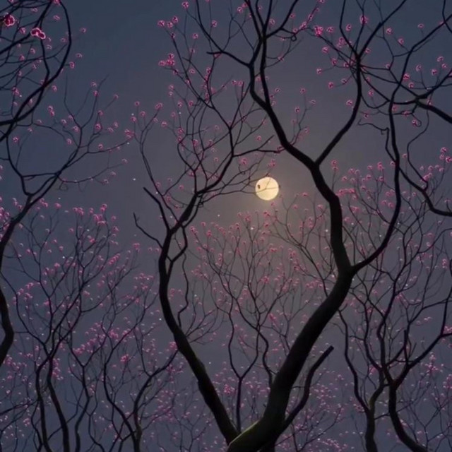 Rykerr Moon