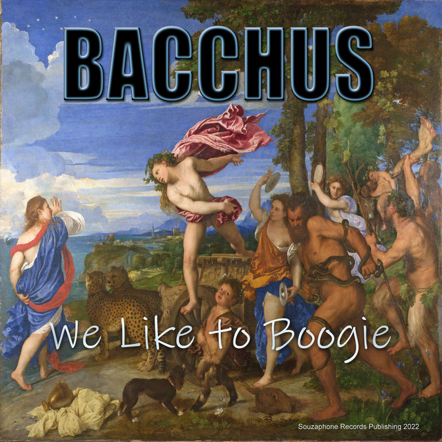 We Like to Boogie cover art