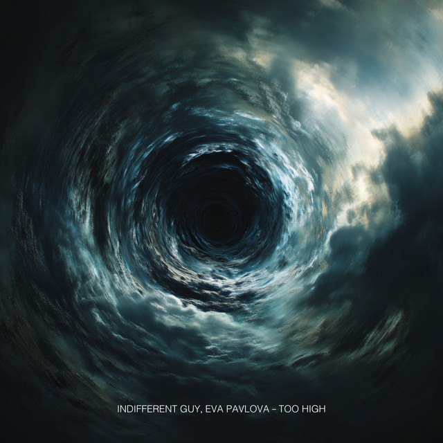 Обкладинка: Too High — Indifferent Guy