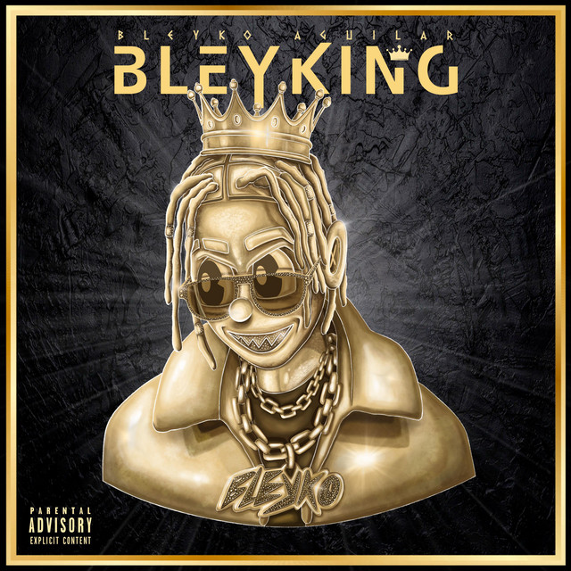 Bleyking cover art