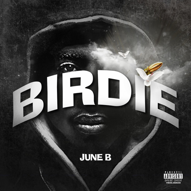 Birdie cover